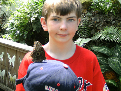 Brendan and butterfly